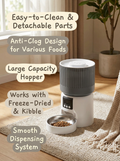 Automatic Food Dispenser